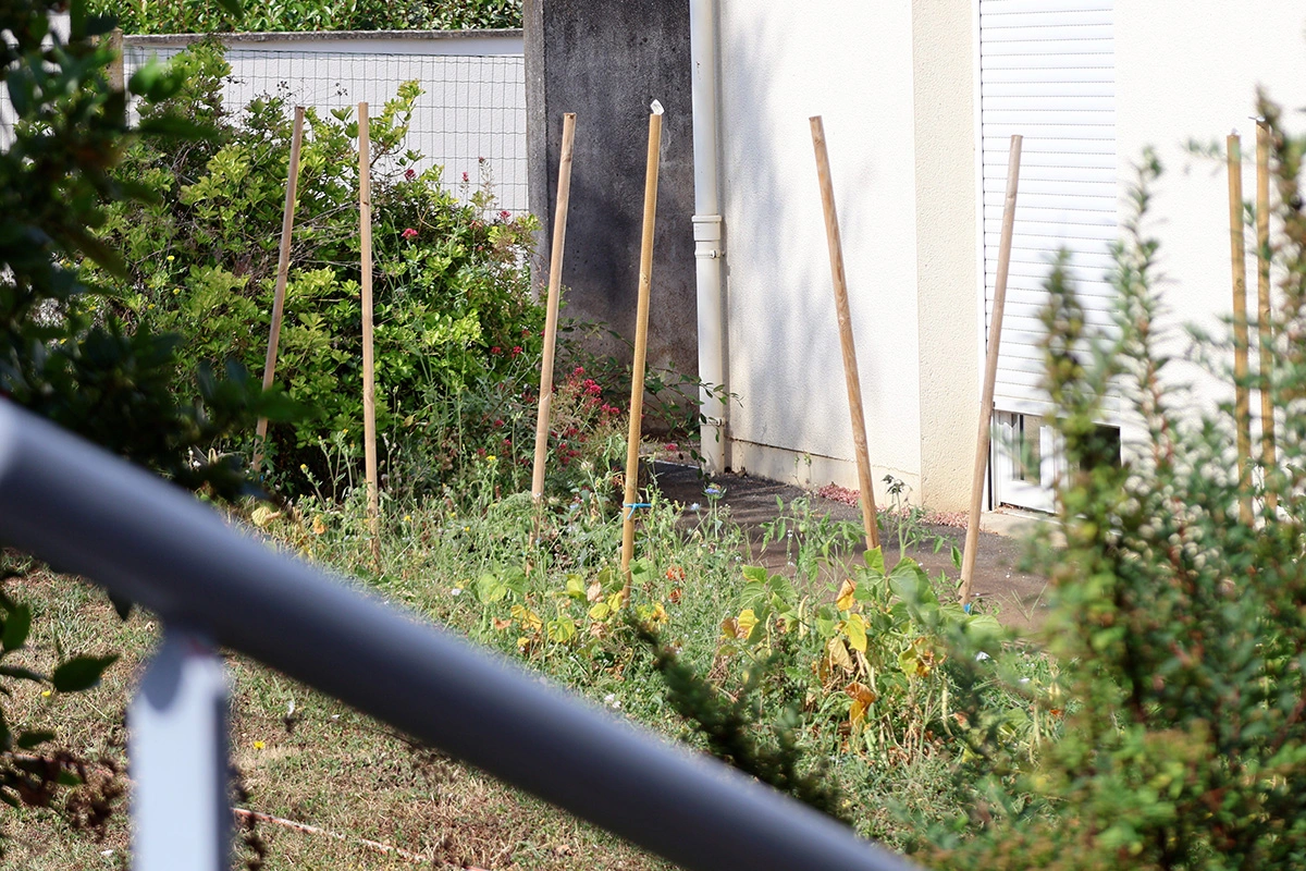 mapha coulonges sur lautise_4