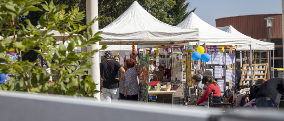 journée du pôle habitat et vie sociale - adapei 79_2